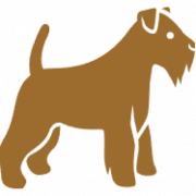 (c) Fox-terriers-club-france.org